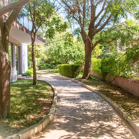 созополи стайл клуб *